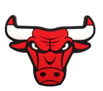 Chicago Bulls Charm